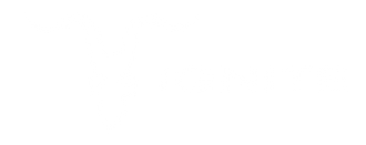 Ignite Oficial